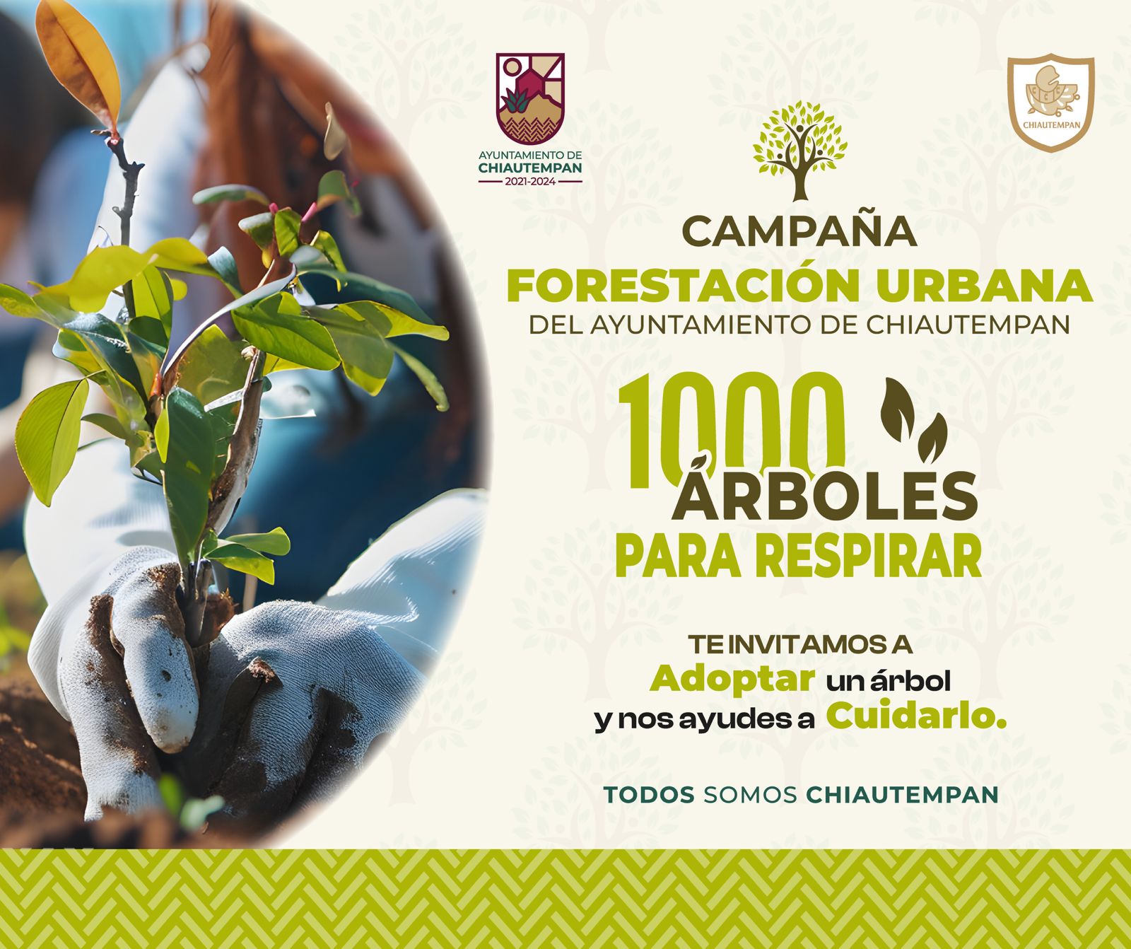 Ayuntamiento de Chiautempan pone en marcha campaña de forestación